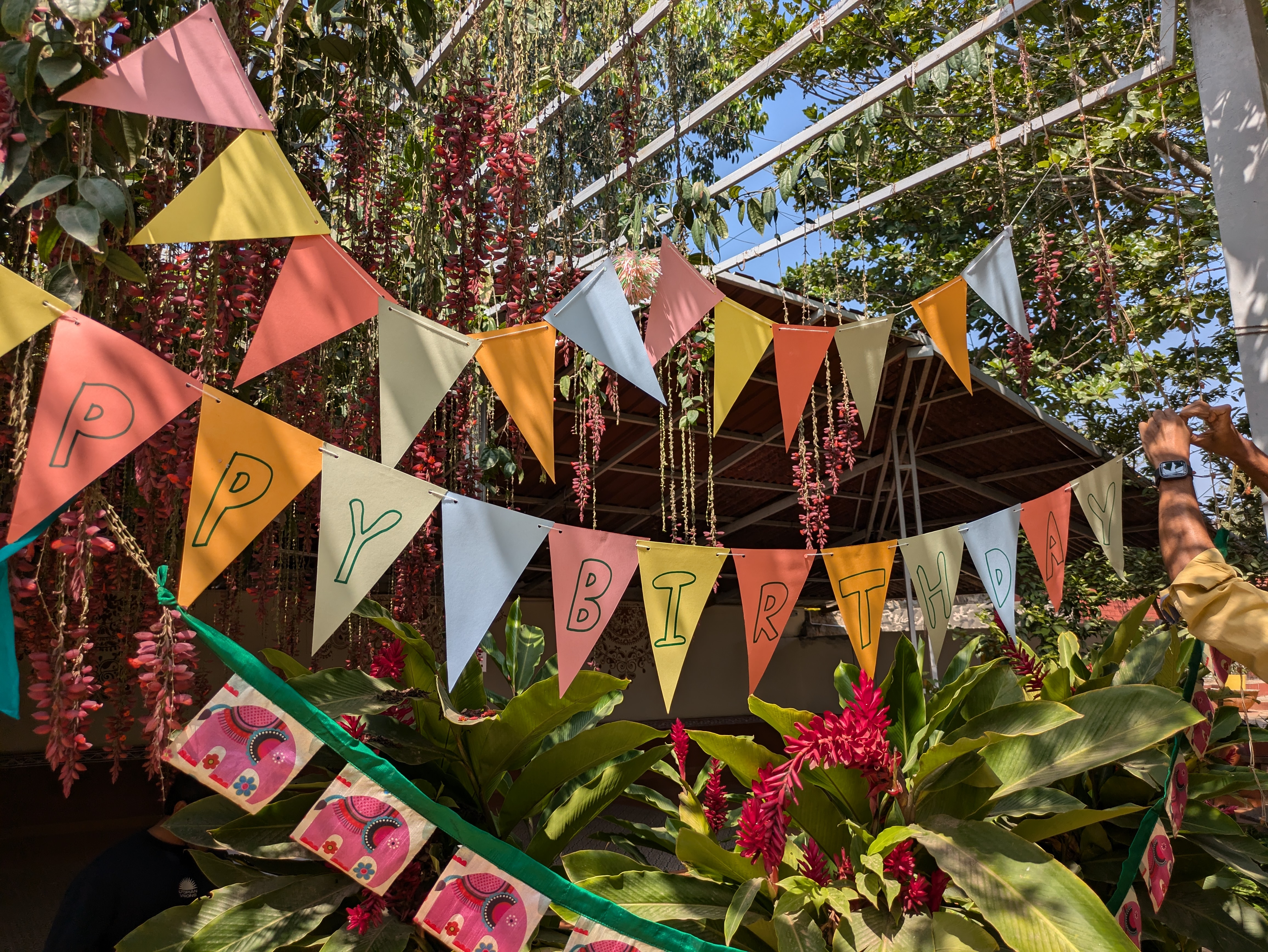 Birthday Celebration 2